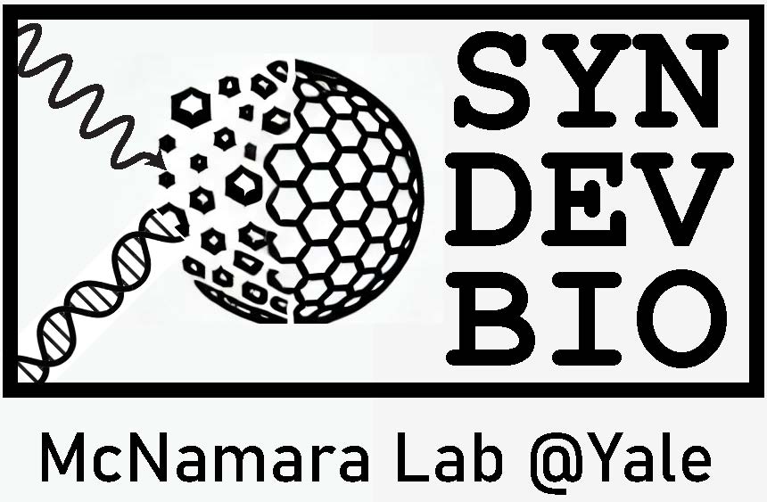 McNamara Lab at Yale